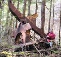 1950s logging arch