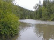 BC Hydro. Trade-off analyst and facilitation of community consultative process. Balancing hydroelectric generation, fish habitat, recreation, and flood control on the Shuswap River, British Columbia.